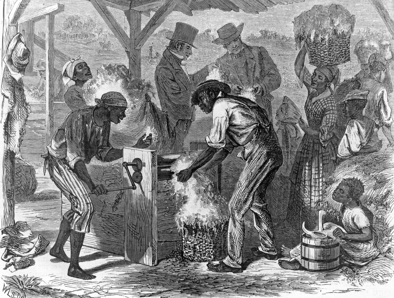 African slaves using the cotton gin